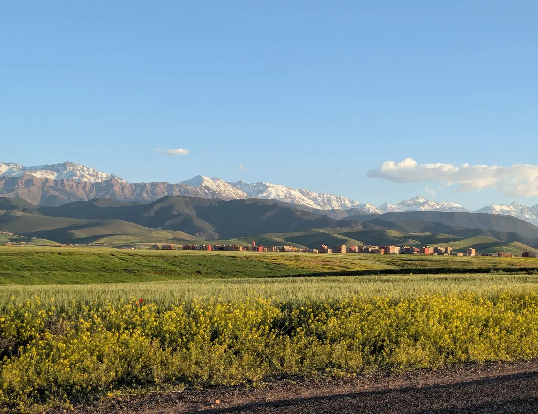 The snow-capped High Atlas above the fields near Marrakech
